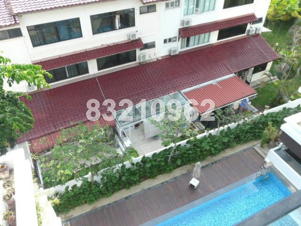 The Calypso (D16), Apartment #39848842